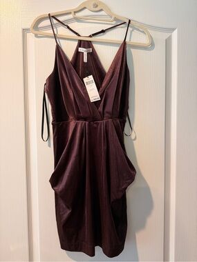 BCBGMaxAzria Wine Sleeveless V-Neck Mini Dress